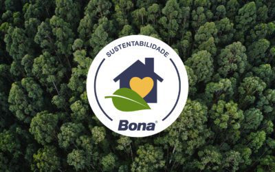 Dia de Proteção às Florestas – Como praticar limpeza sustentável na sua casa?