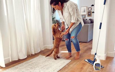 Saúde Pet: Como a limpeza com Bona previne alergias nos pets