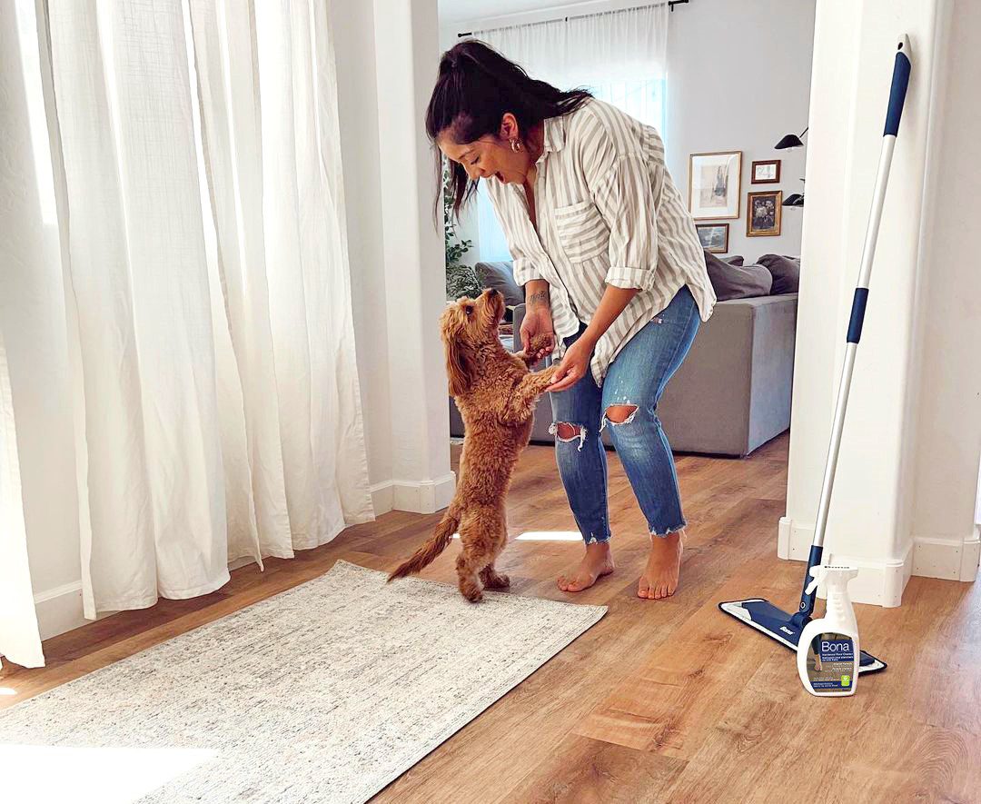 cachorro limpeza renovação de deck