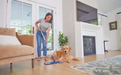 Cuidando da Madeira e dos Pets: Soluções Seguras para um Lar Amigo dos Animais