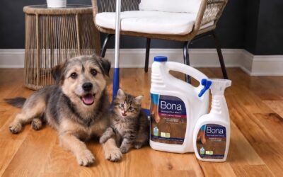 Piso de madeira VS cachorro e gato: Xixi, pelos e saúde