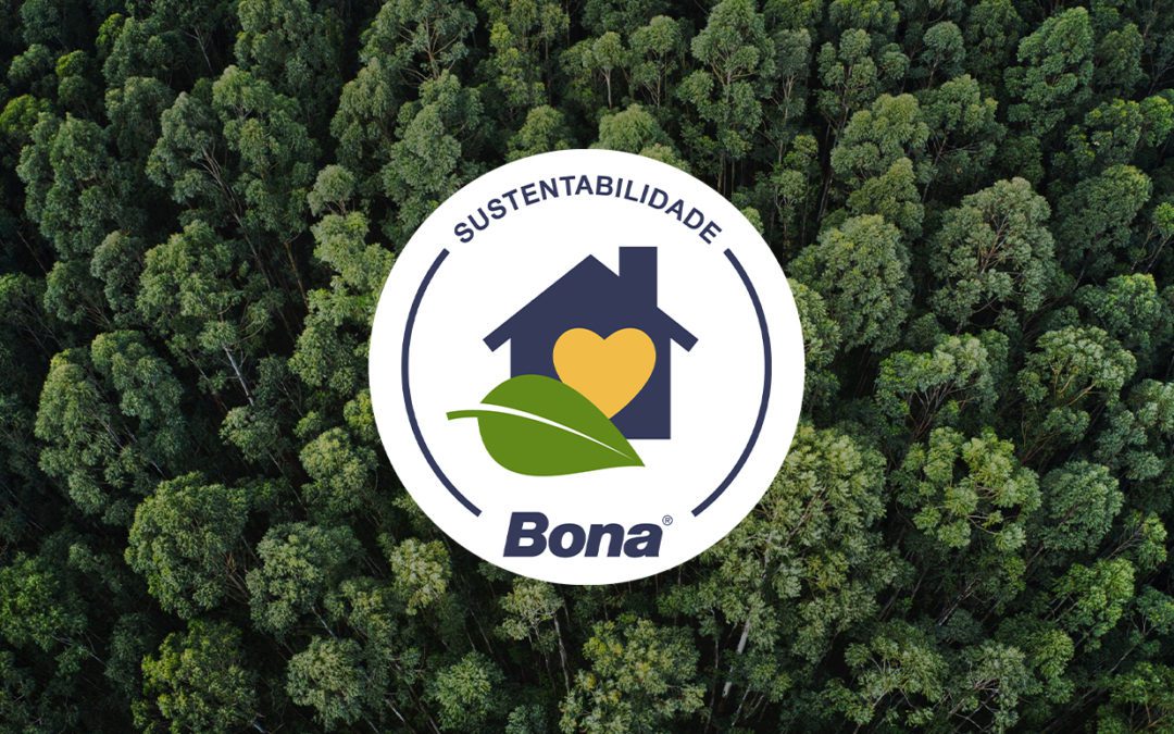 Dia de Proteção às Florestas – Como praticar limpeza sustentável na sua casa?