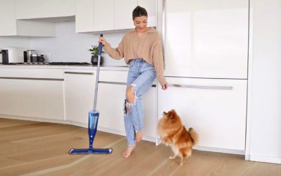 Como proteger seu pet na hora de limpar a casa?