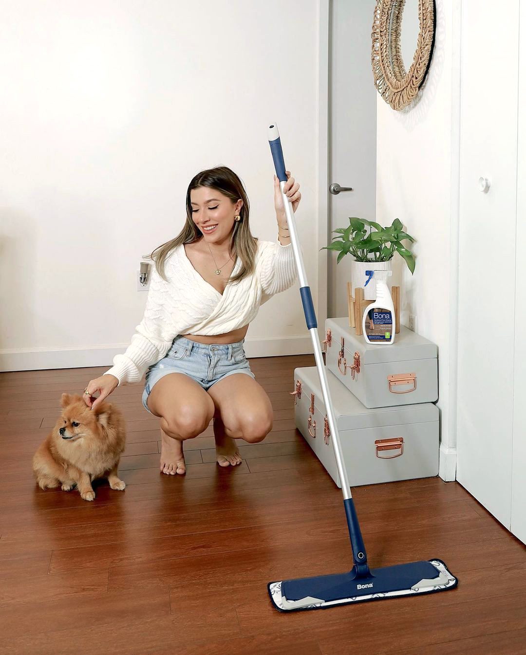limpeza piso cachorro gato xixi pelo